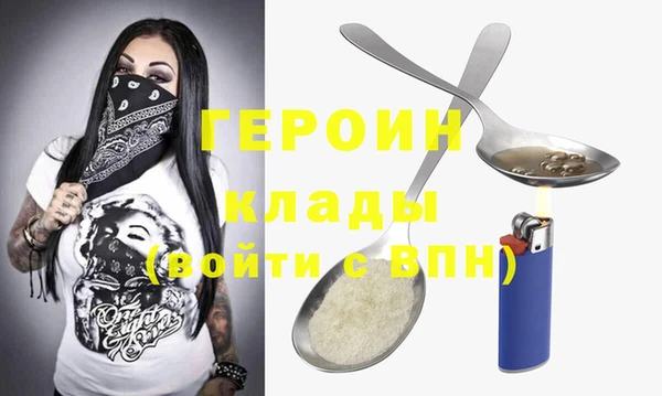 индика Медвежьегорск