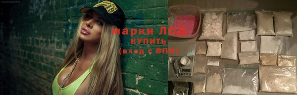 крисы Мегион