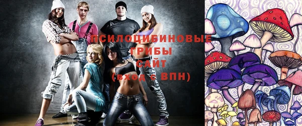 ECSTASY Михайлов
