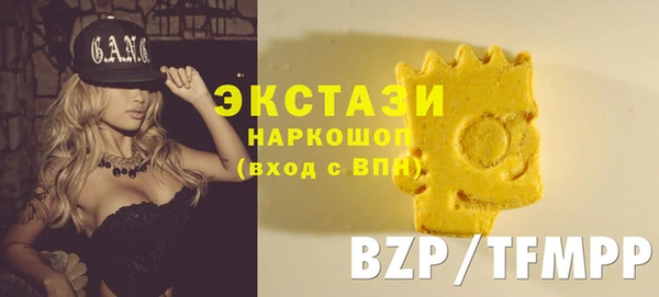 крисы Мегион