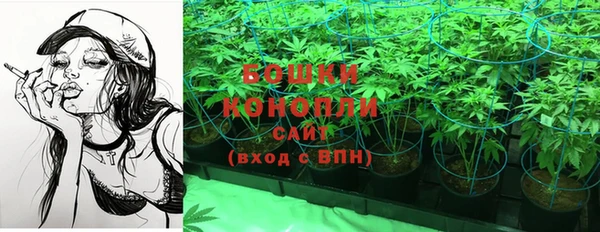крисы Мегион
