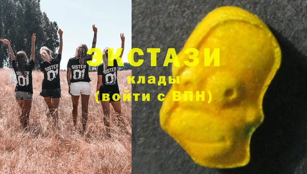 ECSTASY Михайлов