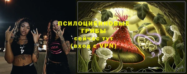 дурь Медногорск