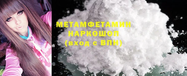 индика Медвежьегорск