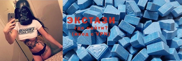 индика Медвежьегорск