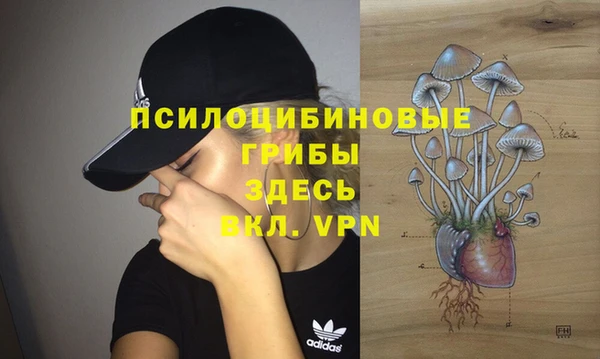 индика Медвежьегорск