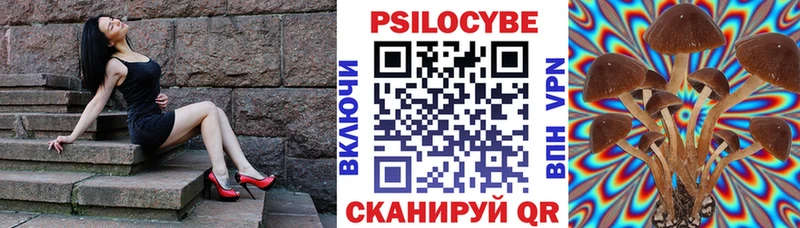 гидра как войти Ленинск Галлюциногенные грибы мухоморы
